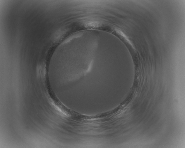 X0000070250637200606021157