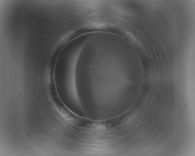X0000070250640200606021157