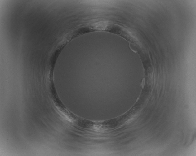 X0000070250641200606021157