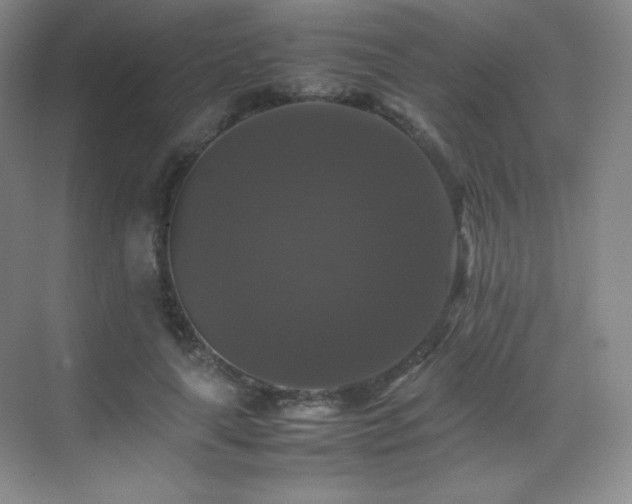 X0000070250643200606021157