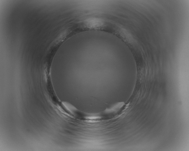 X0000070250644200606021157