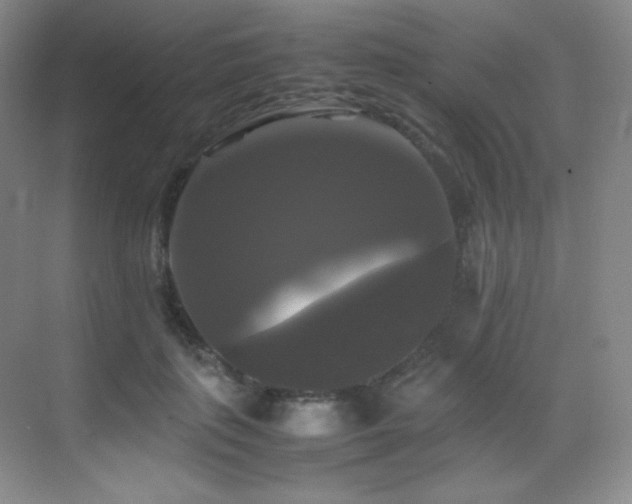 X0000070250651200606021157