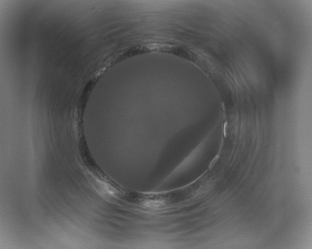 X0000070250653200606021157
