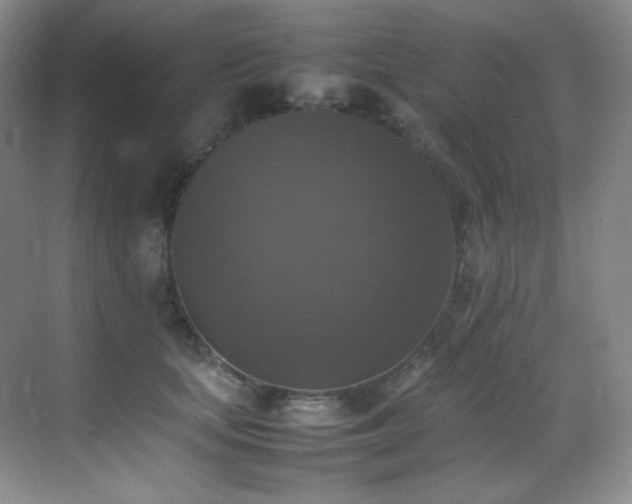 X0000070250659200606021157