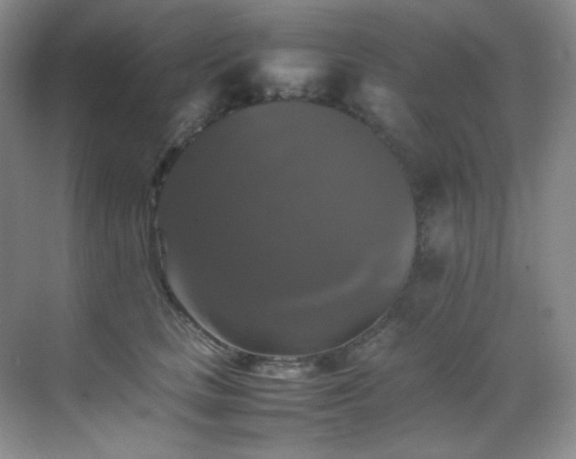 X0000070250661200606021157