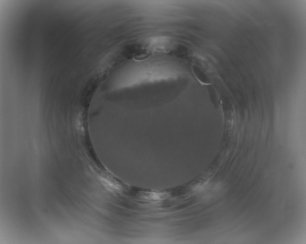 X0000070250663200606021157