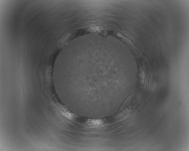 X0000070250665200606021157