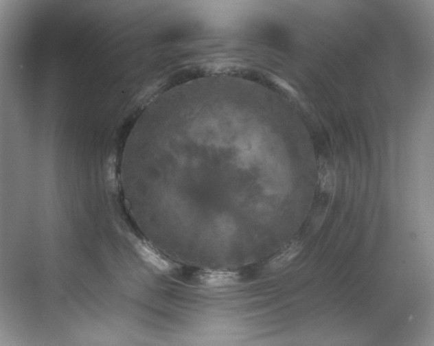 X0000070250670200606021157