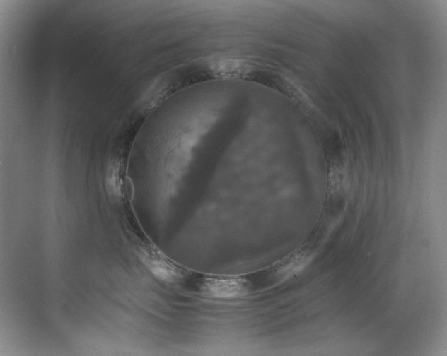 X0000070250671200606021157
