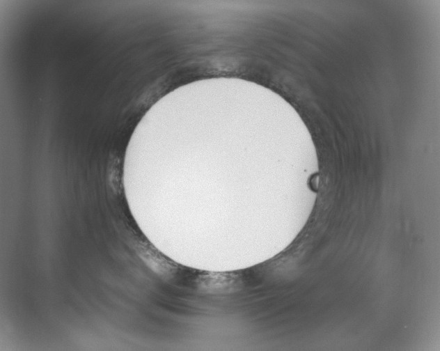 X0000070250672200606021157