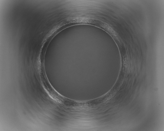 X0000070250674200606021156