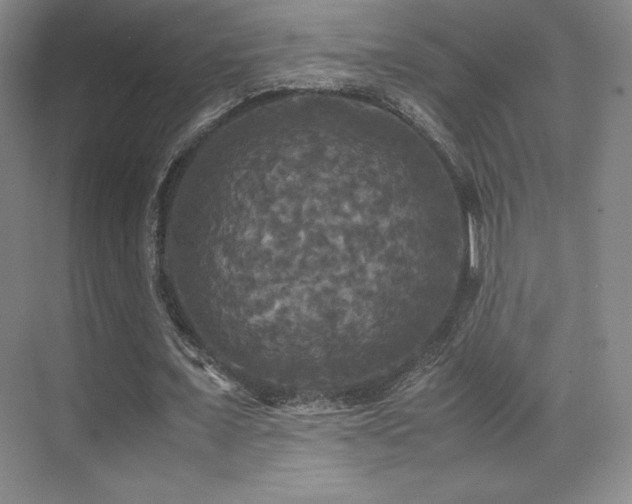 X0000070250675200606021156