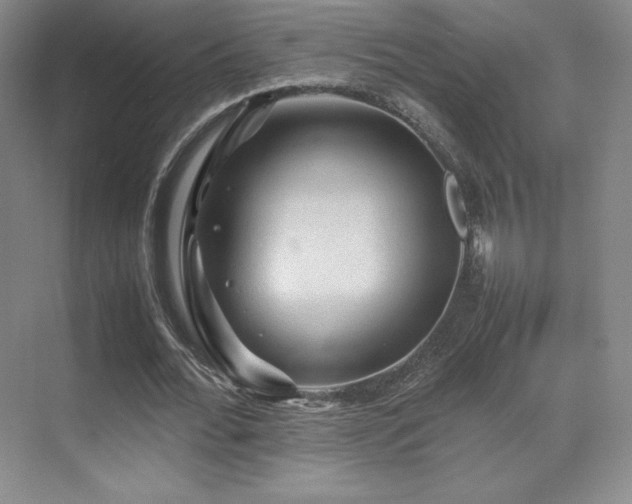 X0000070250676200606021156