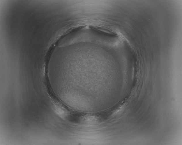 X0000070250685200606021156