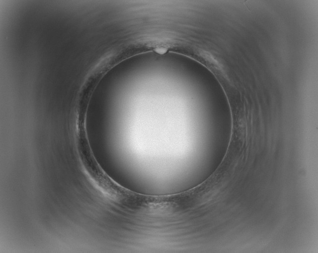 X0000070250686200606021156