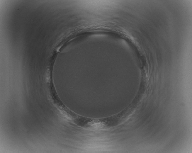X0000070250689200606021156