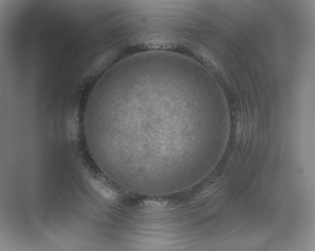 X0000070250690200606021156