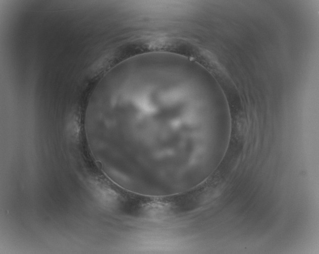 X0000070250691200606021156