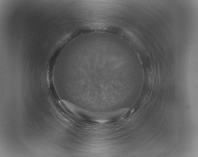 X0000070250692200606021156