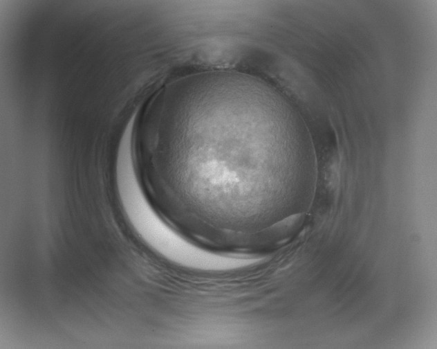 X0000070250693200606021156