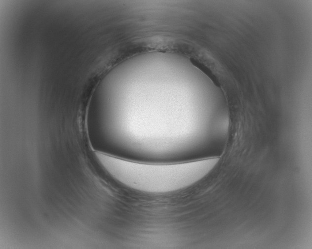 X0000070250696200606021156