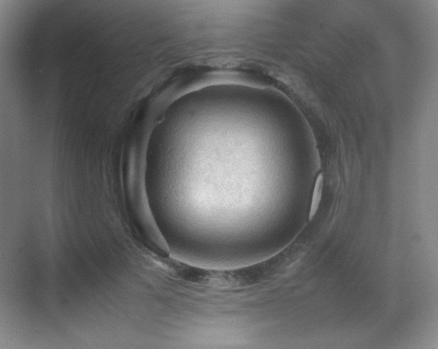 X0000070250697200606021156