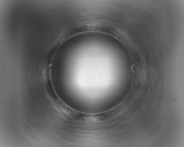 X0000070250698200606021156