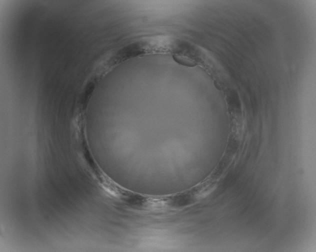 X0000070250701200606021156