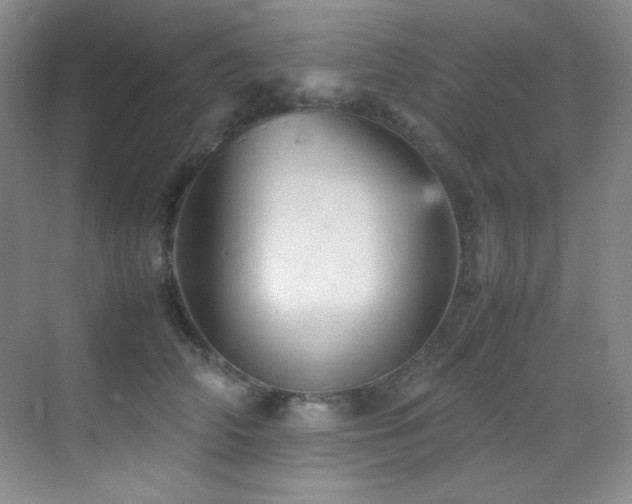 X0000070250706200606021156
