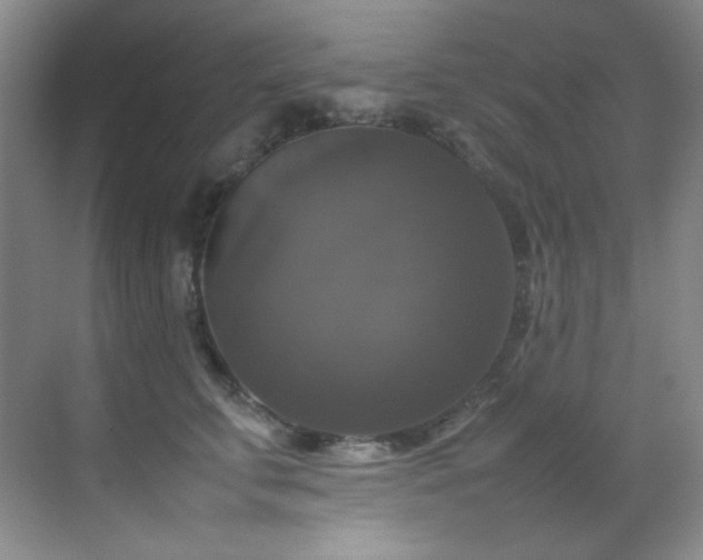X0000070250711200606021156