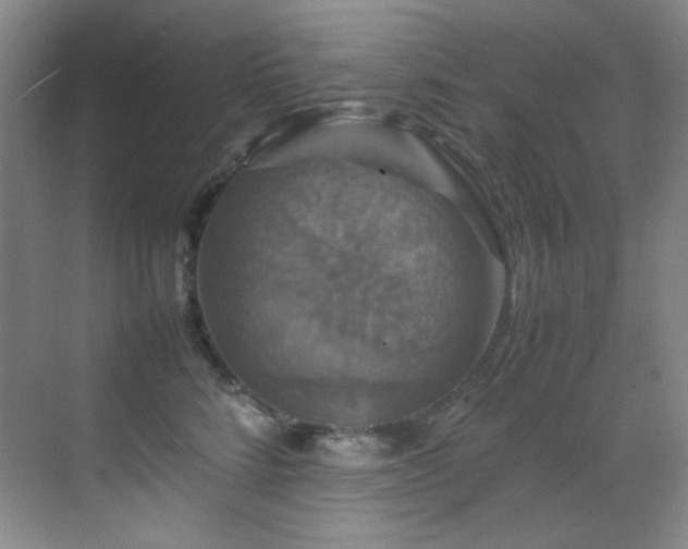 X0000070250712200606021156