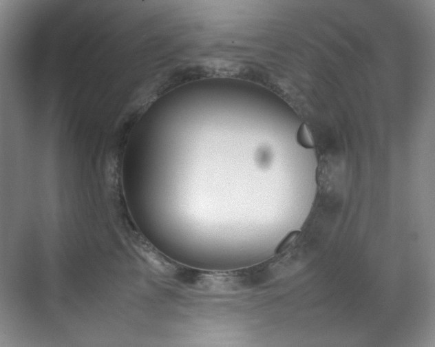 X0000070250713200606021156