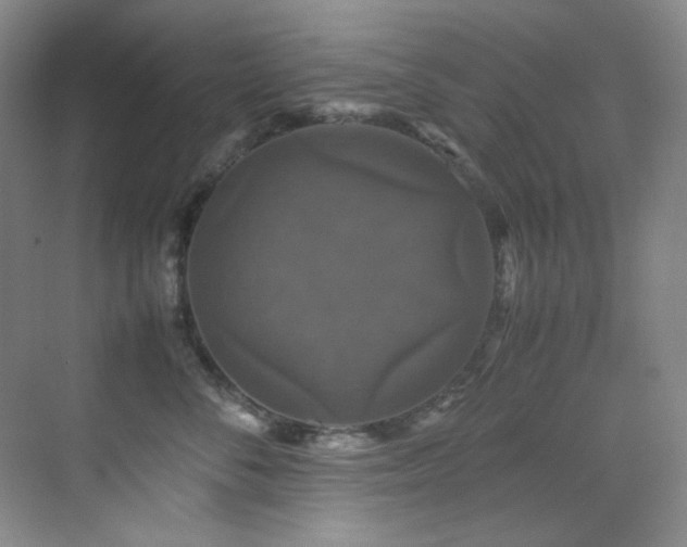 X0000070250716200606021156