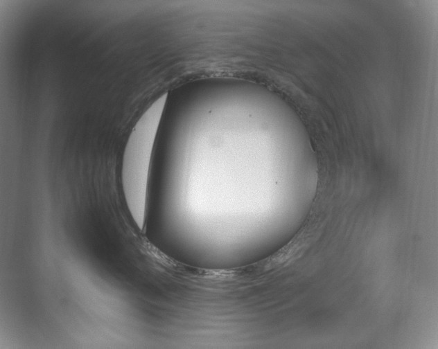 X0000070250720200606021156