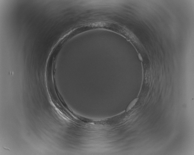 X0000070250722200606021155