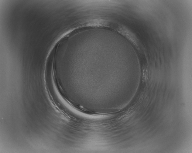 X0000070250724200606021155