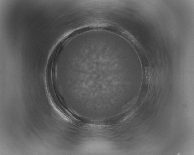 X0000070250726200606021155