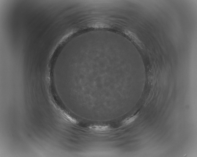 X0000070250727200606021155