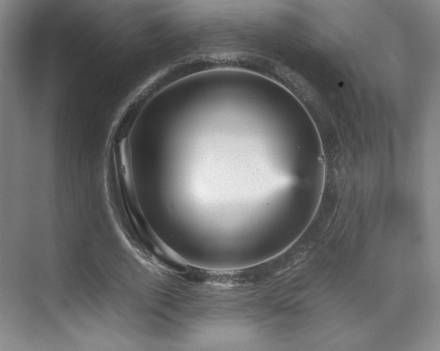 X0000070250728200606021155