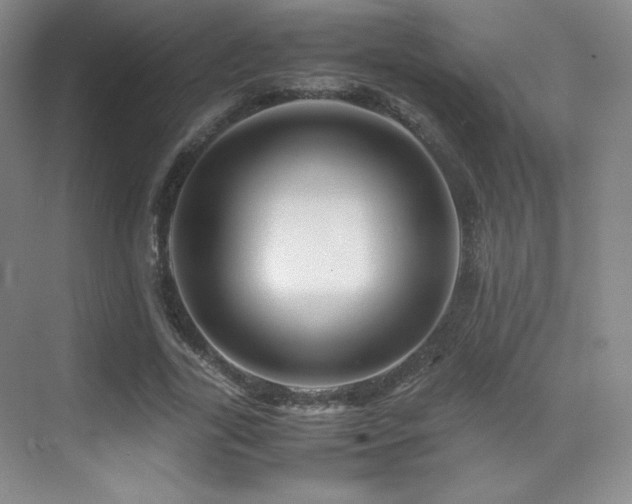 X0000070250731200606021155