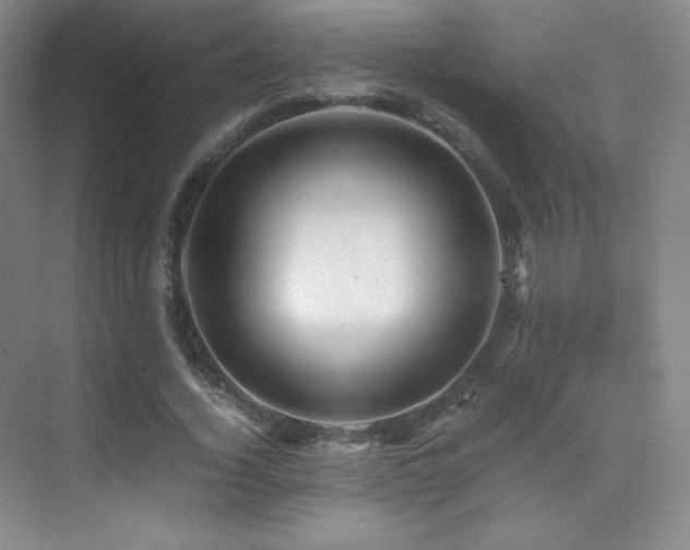 X0000070250732200606021155