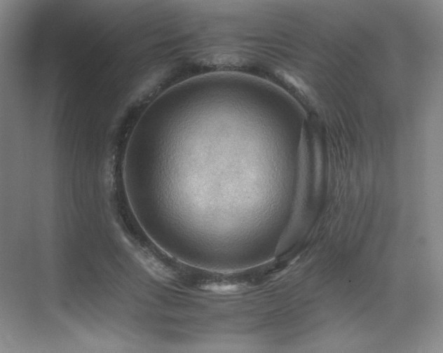 X0000070250735200606021155