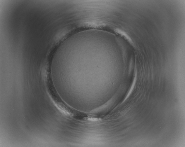 X0000070250736200606021155