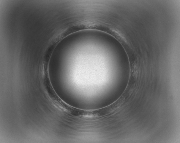 X0000070250740200606021155