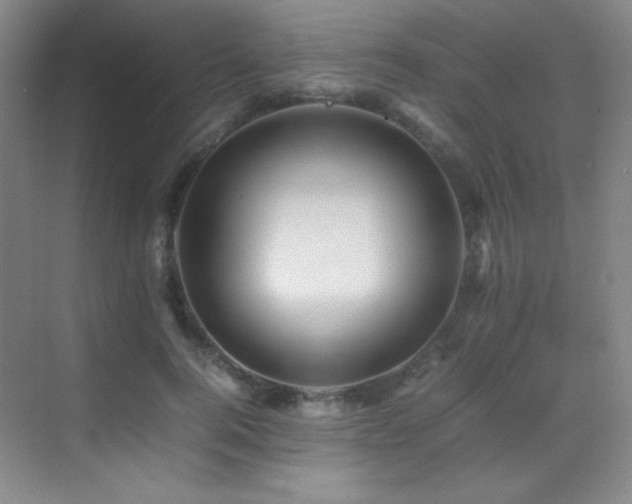 X0000070250744200606021155