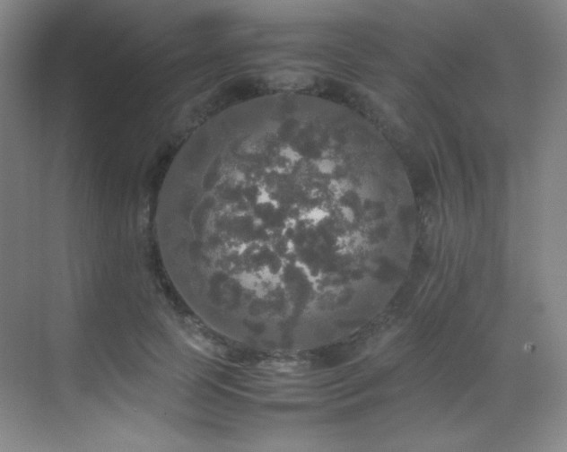 X0000070250745200606021155