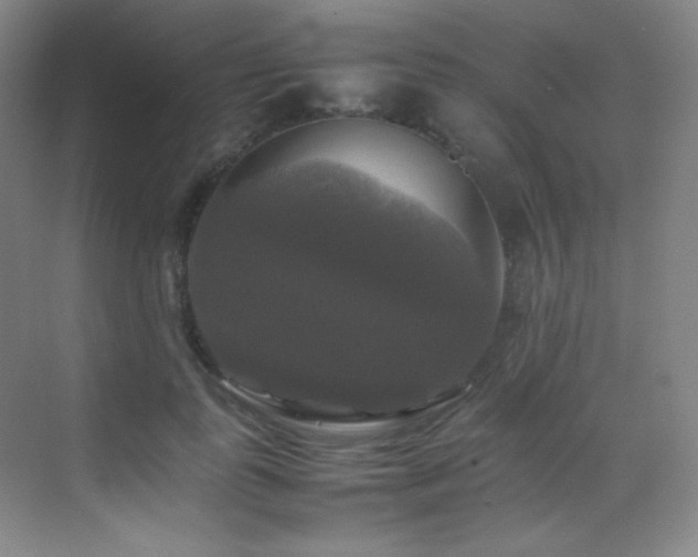 X0000070250747200606021155