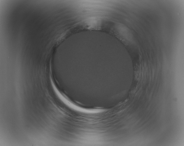 X0000070250748200606021155
