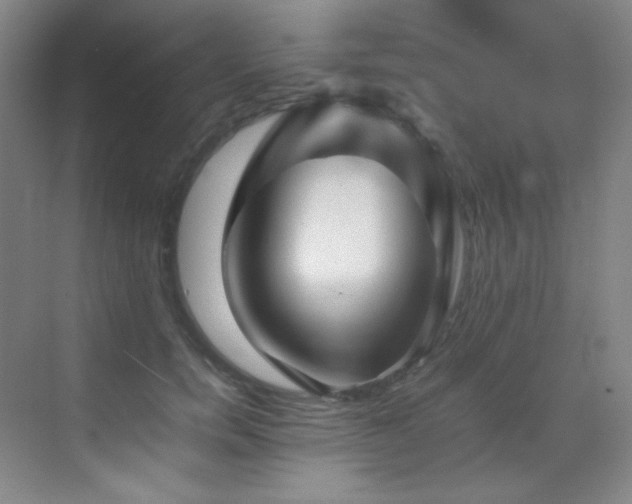 X0000070250750200606021155
