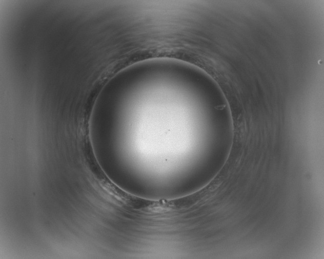 X0000070250756200606021155